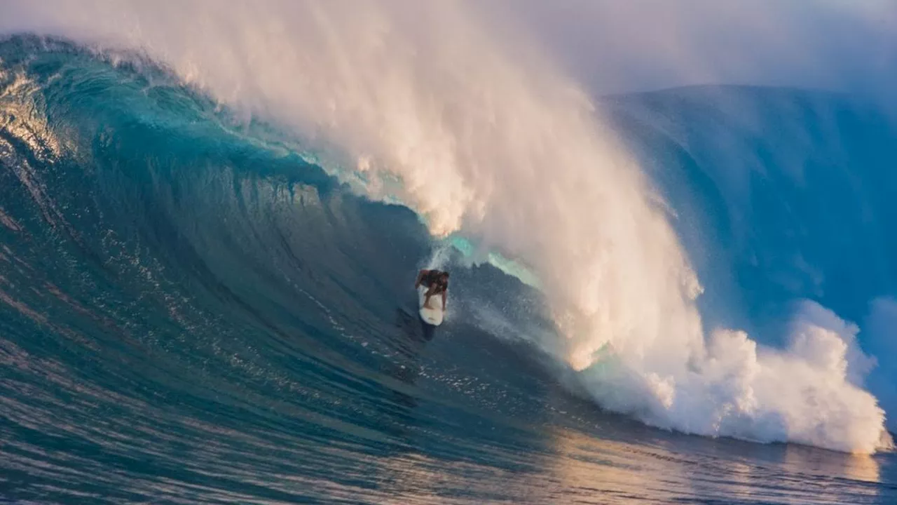 Francisco Porcella, star tra le star: surferà all'Eddie Aikau Big Wave di Ohau