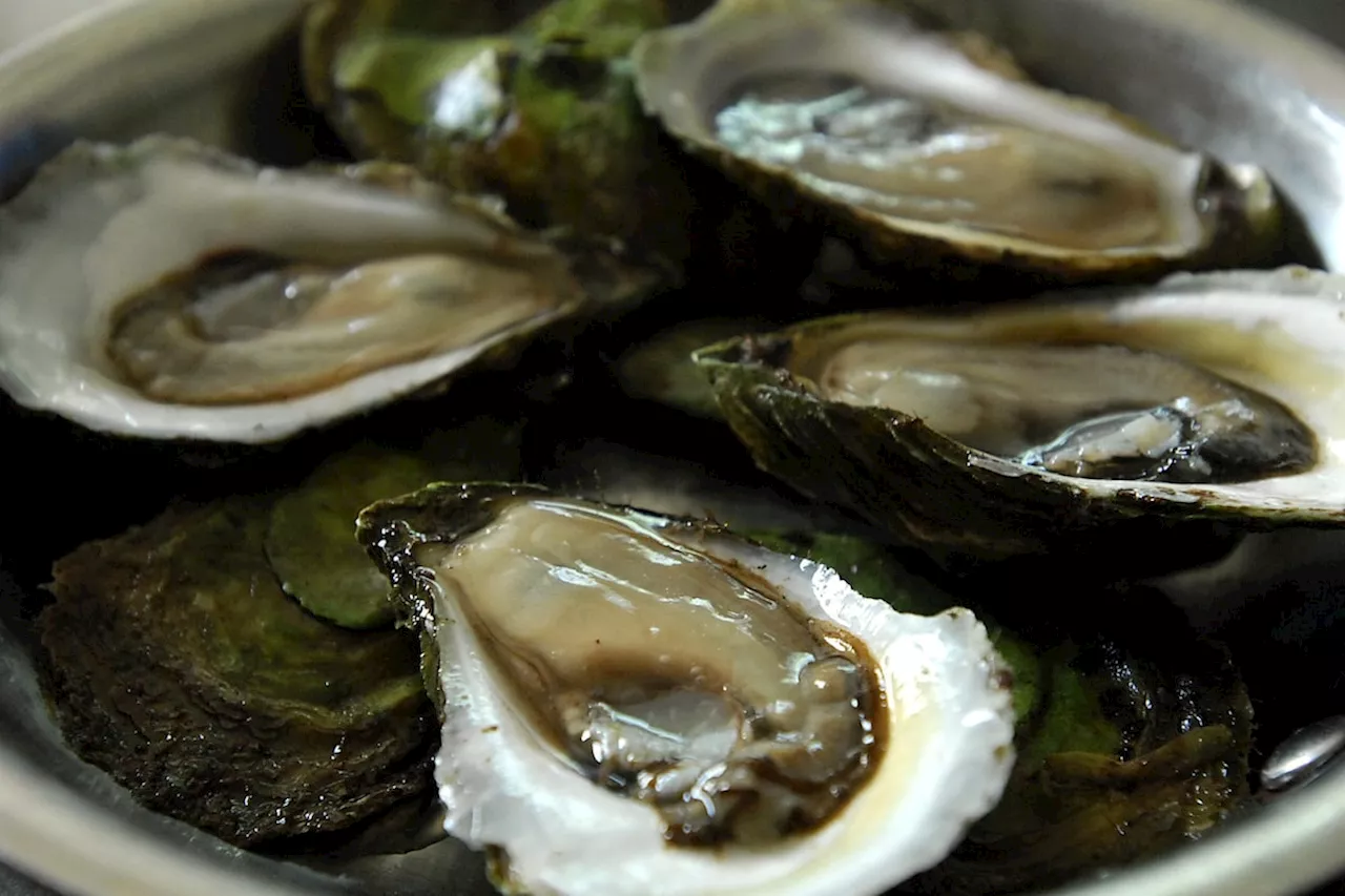 Outbreak of Norovirus Linked to Raw Oysters in British Columbia