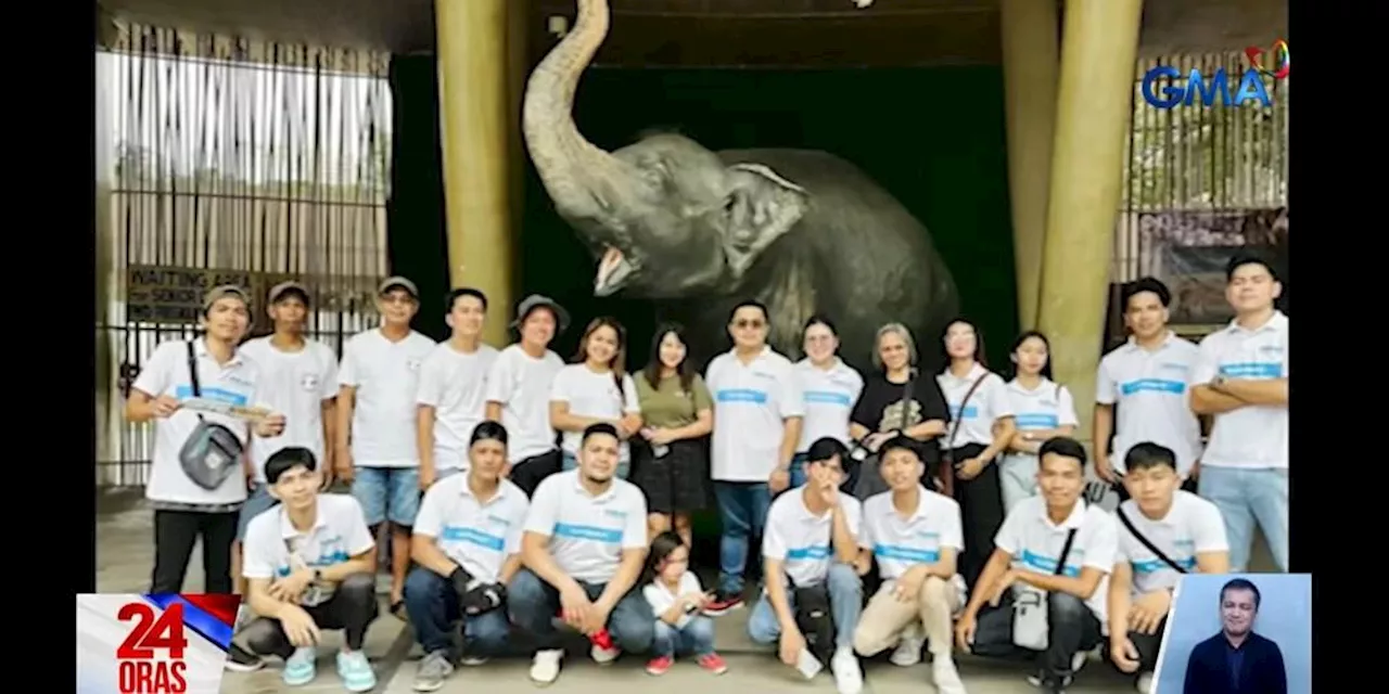 Manila Zoo's Mali Returns After Taxidermy