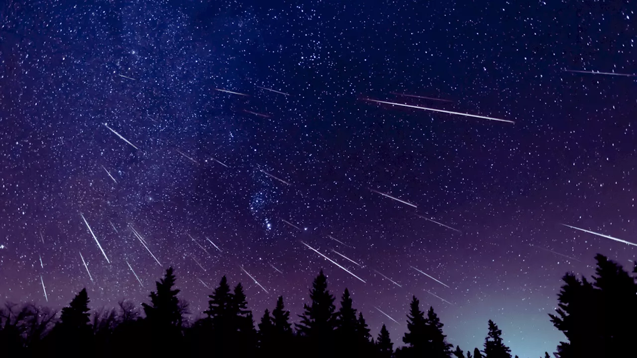 Witness the Magical Ursid Meteor Shower This December