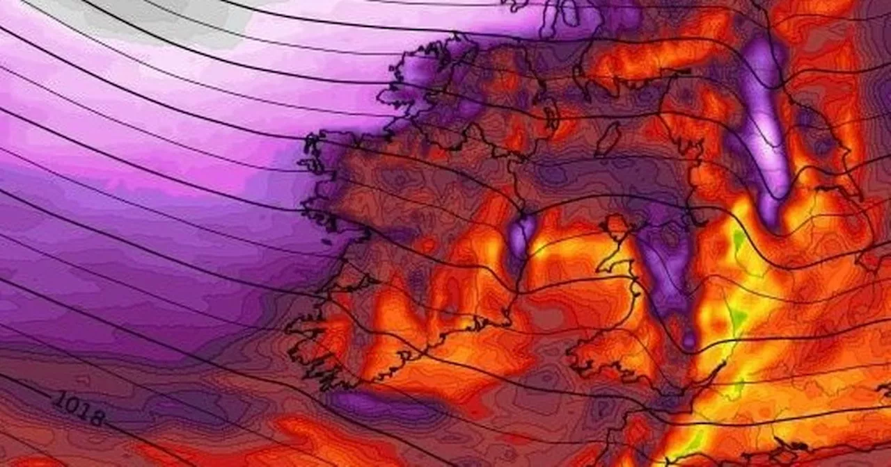 Status Yellow Wind Warning Issued for Three Northern Ireland Counties Ahead of Wild Weekend