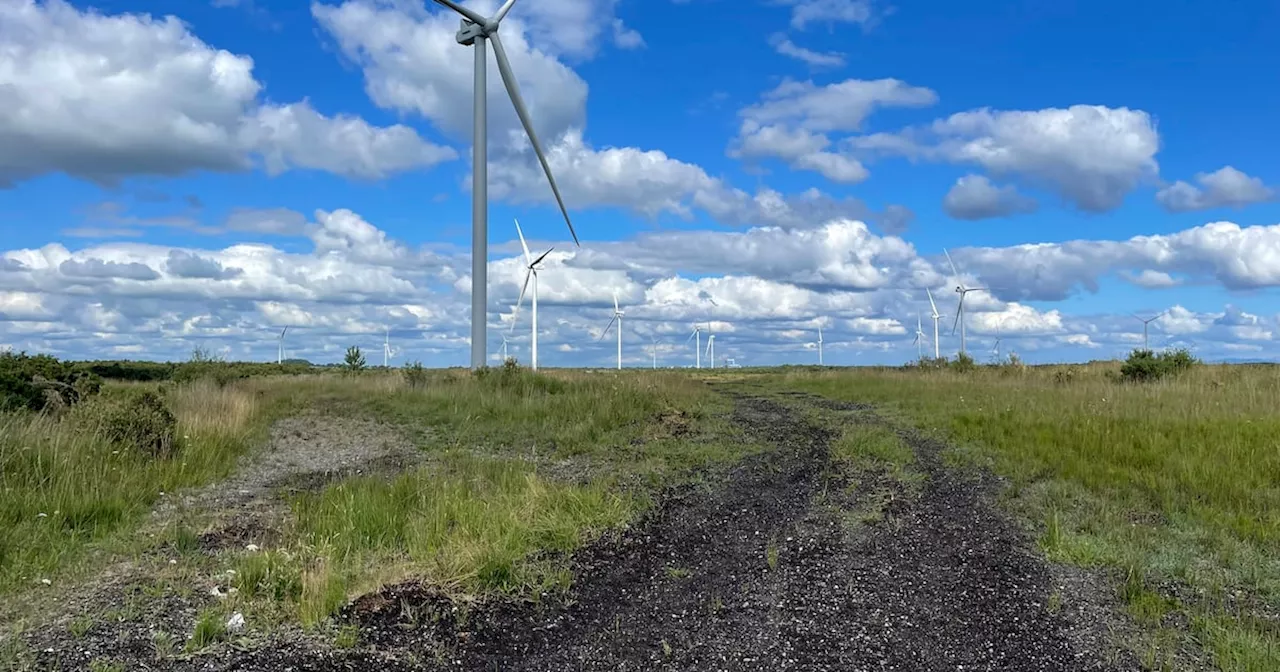 Ireland Faces €20 Billion Bill for Missed Climate Targets