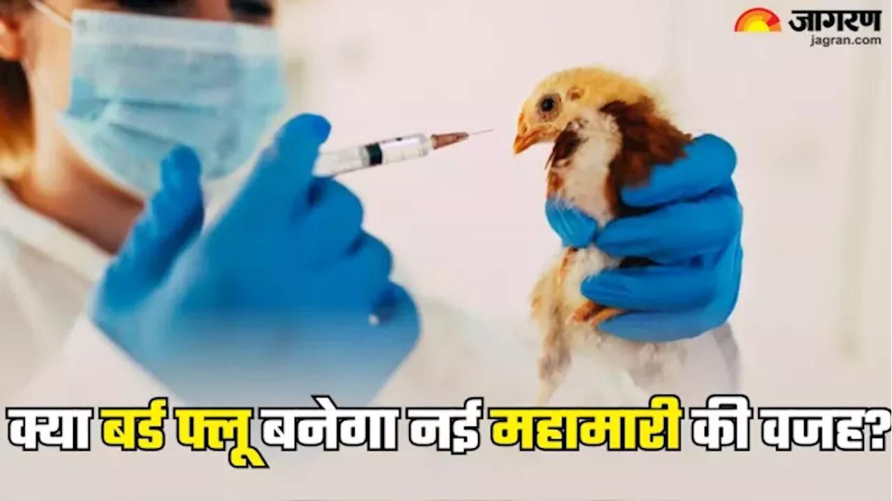 अमेरिका में सामने आया Bird Flu का पहला सीवियर ह्यूमन केस, क्या बनेगा नई महामारी की वजह?