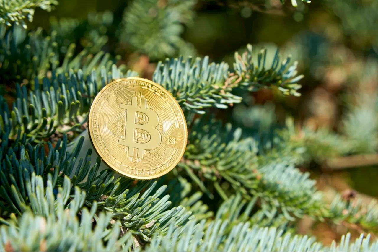 Les Cryptomonnaies sous le sapin : une nouvelle tendance pour Noël ?