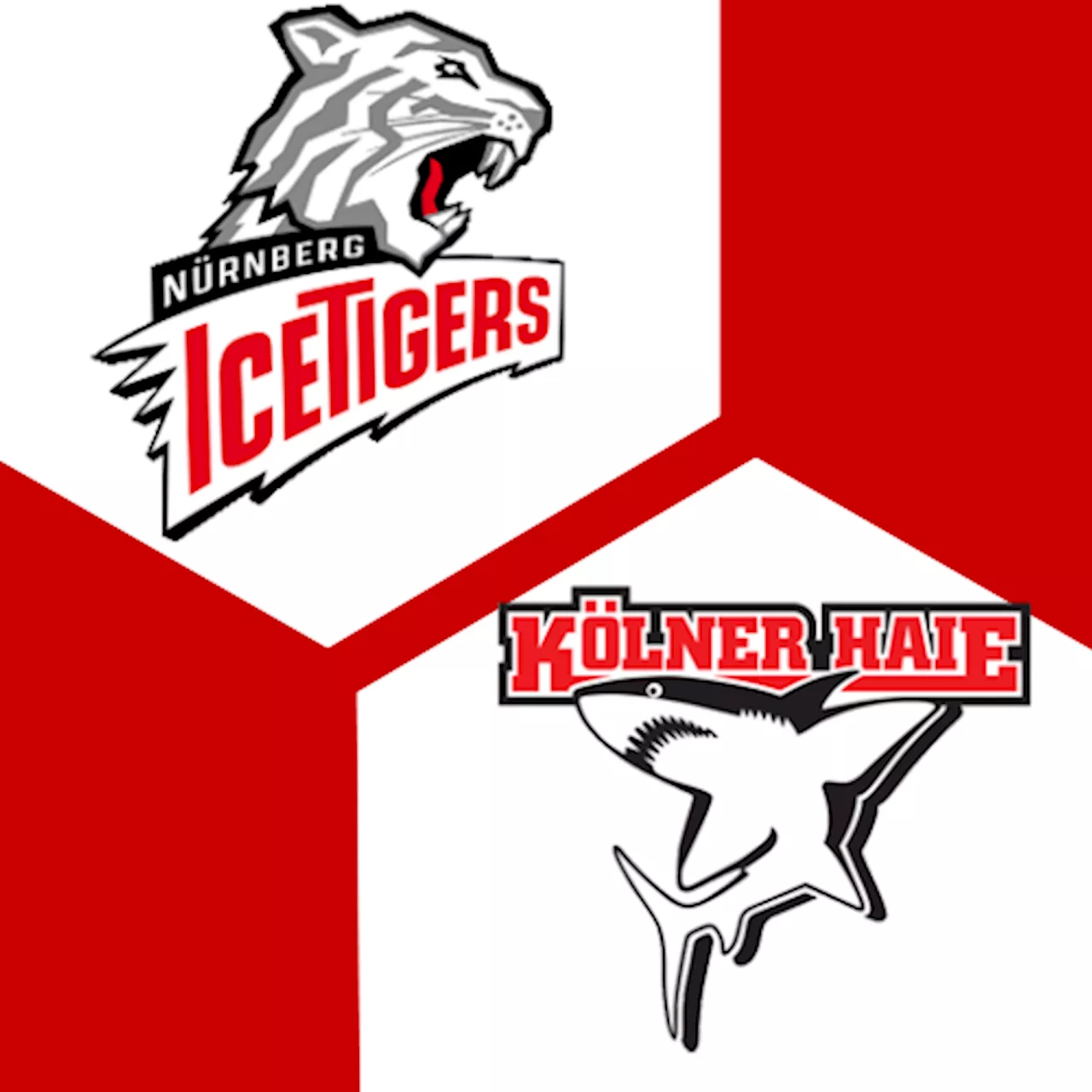 Kölner Haie 0:0 | 28. Spieltag | Deutsche Eishockey-Liga 2024/25