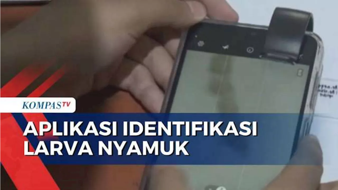 Pelajar Jember Ciptakan Aplikasi Identifikasi Larva Nyamuk