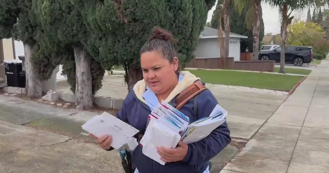 USPS Letter Carrier Walks 14 Miles Daily Delivering Holiday Packages