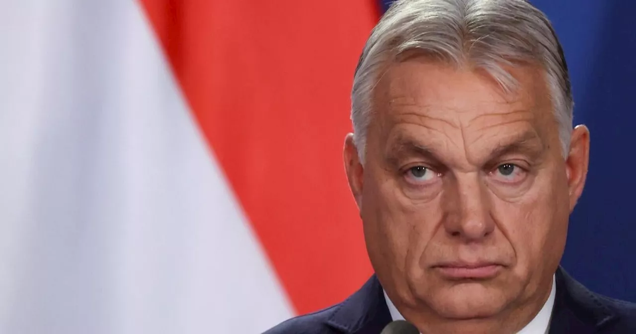 Kiews Restriktionen auf Minderheitenrechte: Orbán instrumentalisiert die Situation