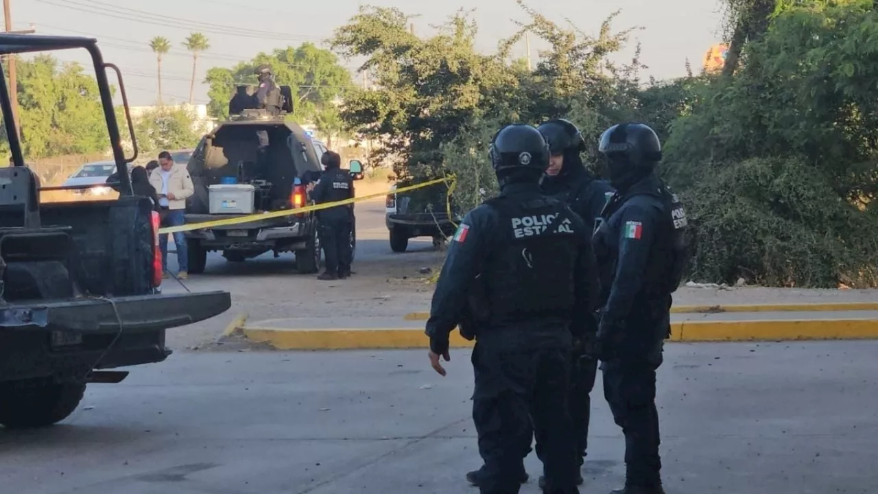 Ola de violencia en Sinaloa: hallan 4 cuerpos en la Concordia, 3 estaban colgados