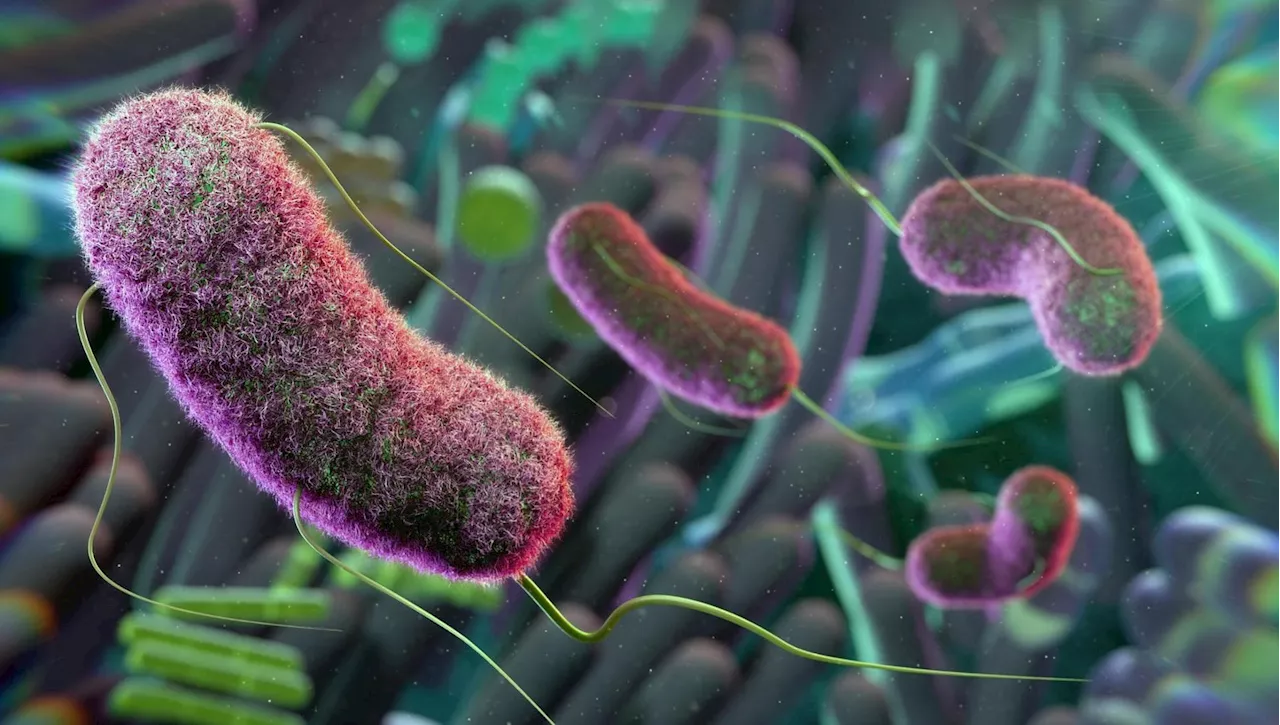 Attenzione ai test sul microbiota intestinale: ancora non hanno valore clinico