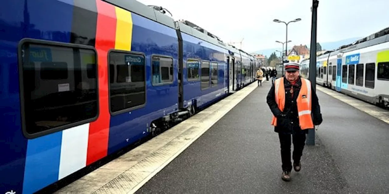 Le REME de Strasbourg enfin attractif après des débuts difficiles