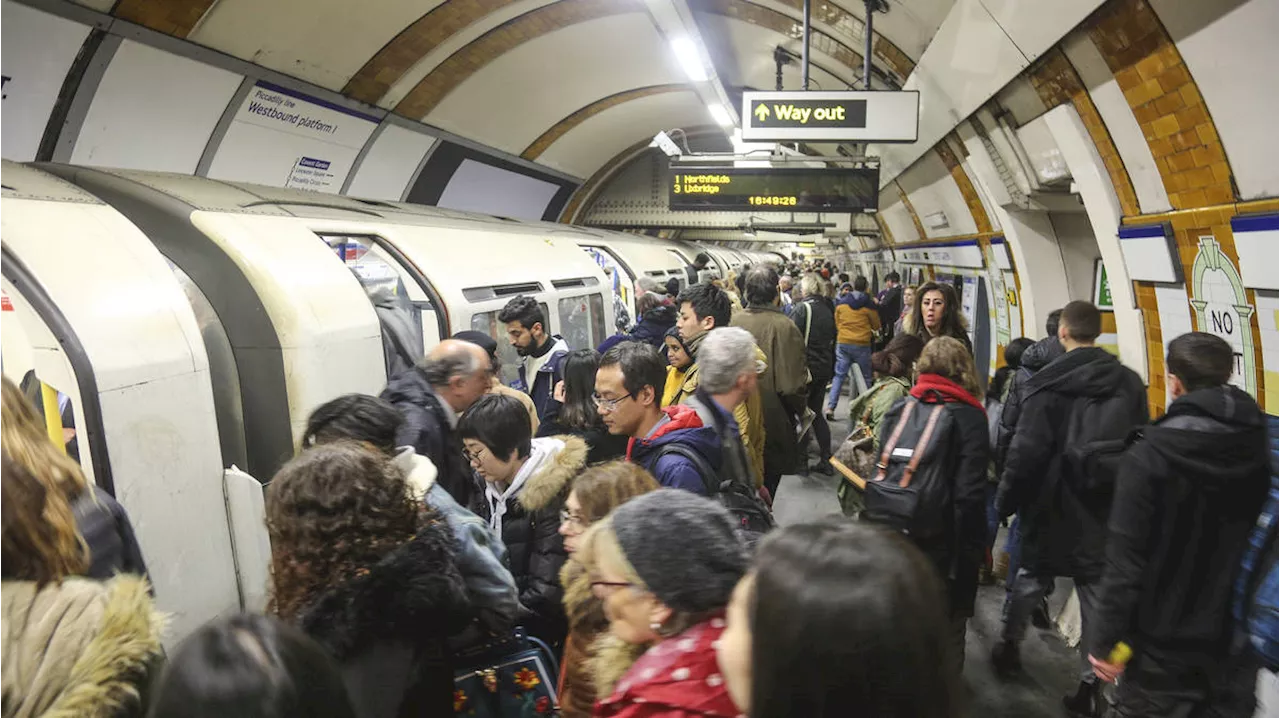 Heavy Leaf Fall Causes Travel Chaos on London's Piccadilly Line