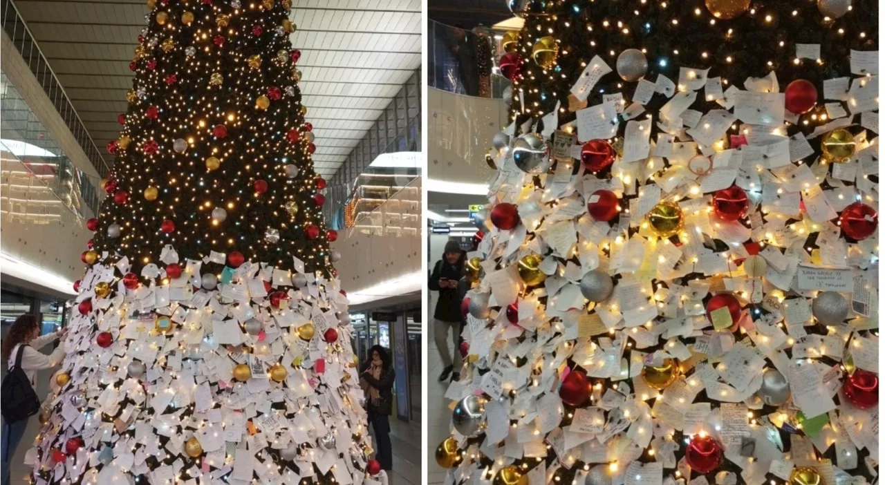 Roma Termini: Un Albero Desideri Prima del Natale