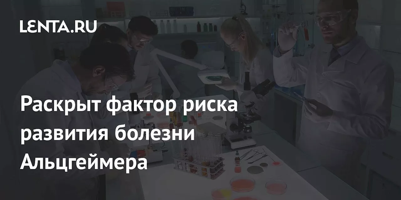 Провоспалительная диета повышает риск деменции