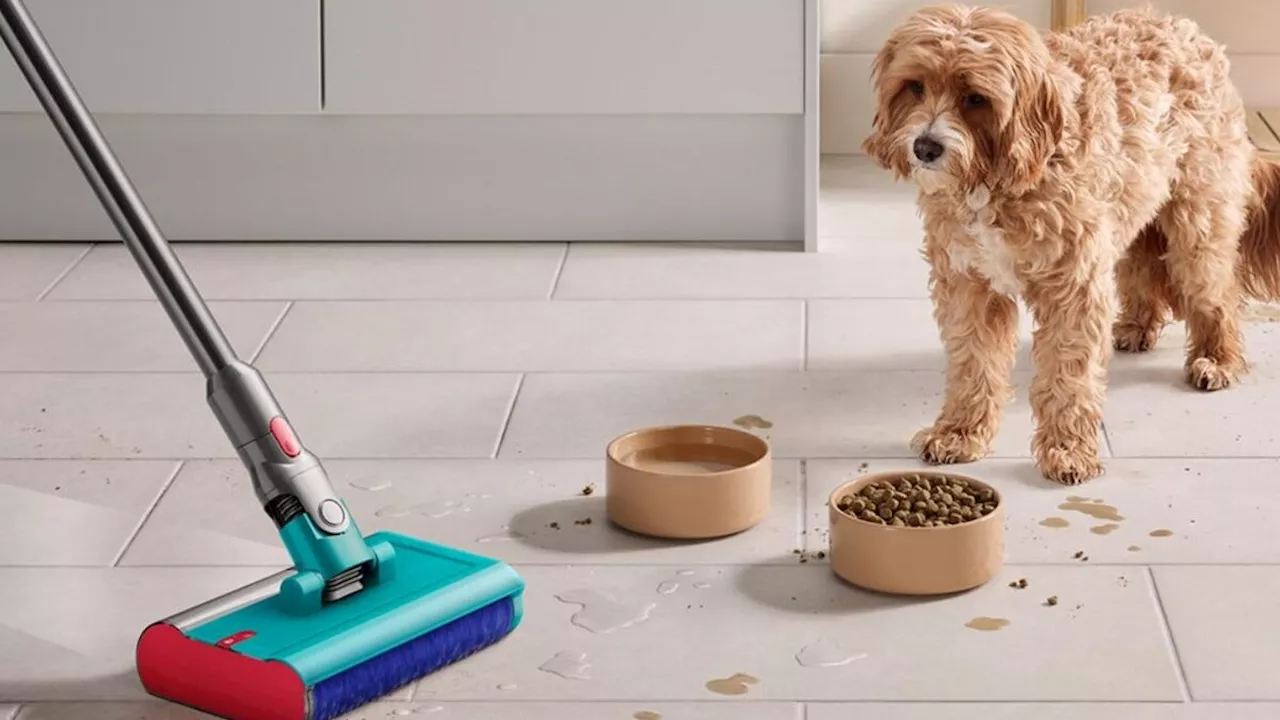 Meilleure Aspirateur Pour Noël: Dyson, Tineco, et D'autres