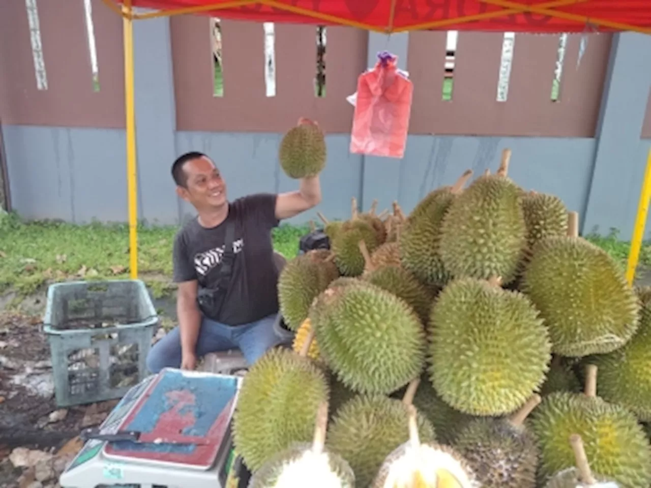 3 Places To Score the Best Durians in Kuching This Season