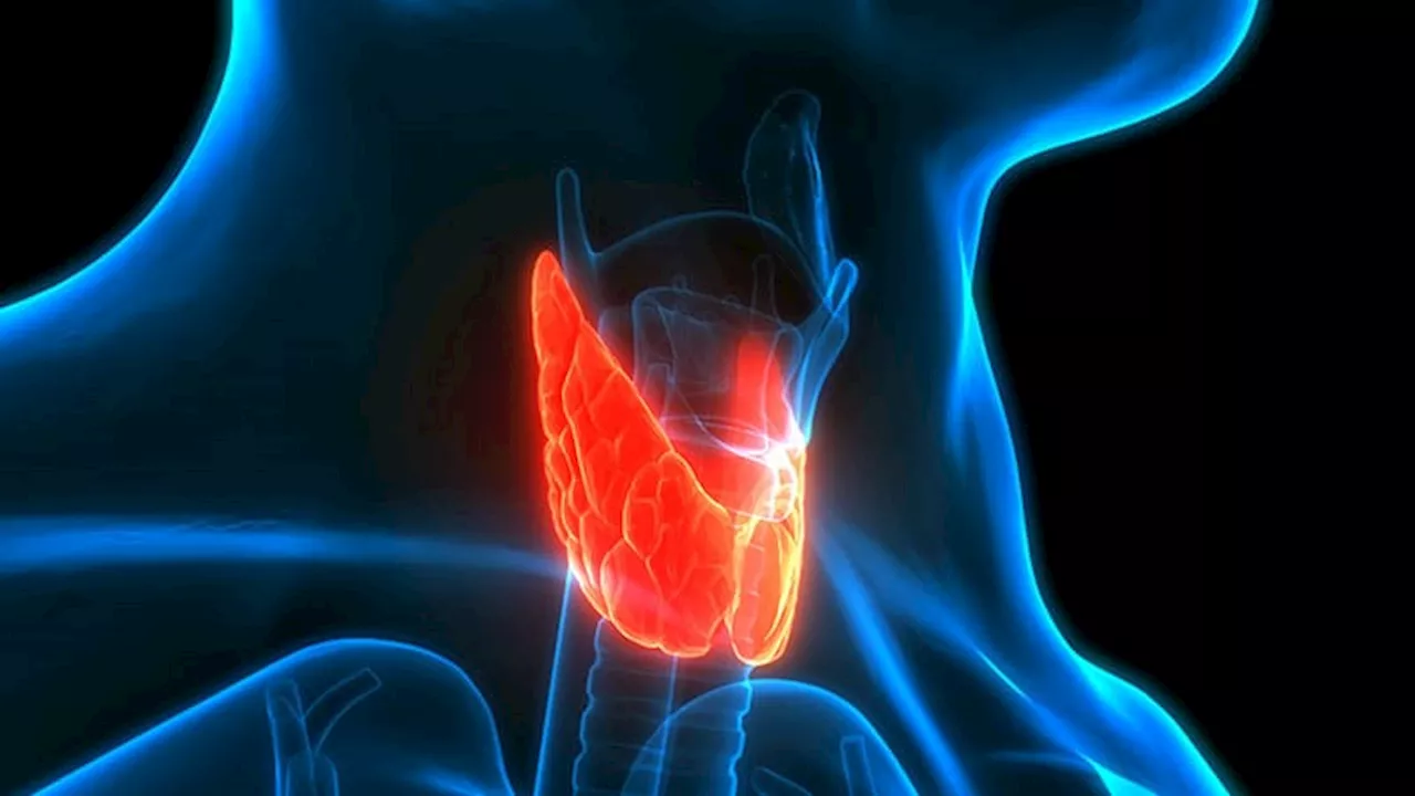 GLP-1 RAs and Thyroid Disorders: What Clinicians Need to Know