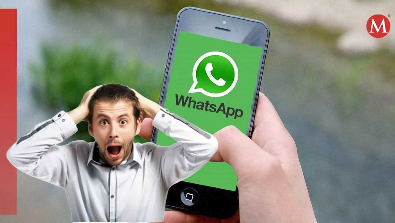 WhatsApp: Éstas fueron TODAS las actualizaciones de la app en 2024| LISTA completa