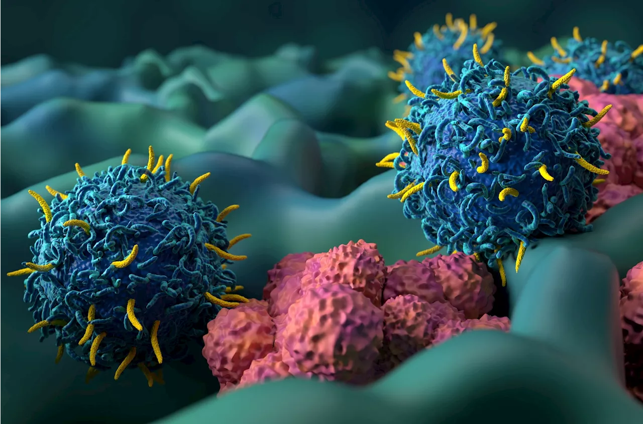 Protein Platform Enables Advanced Immune Response Engineering