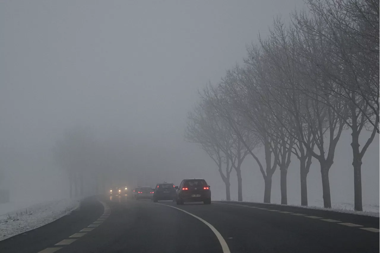 Dense Fog Advisory Issued for Much of Florida