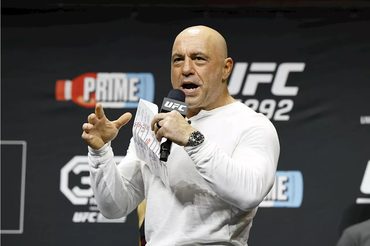 Joe Rogan Defends Trump's 'Access Hollywood' Comment