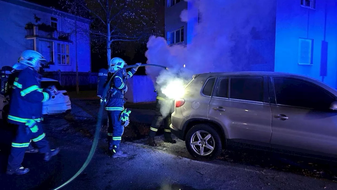 St. Pöltner Feuerteufel gefasst