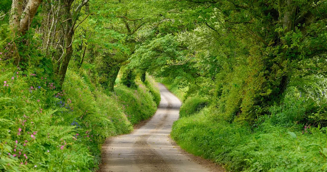 England Considers Lower Speed Limits on Rural Roads to Combat Risky Driving