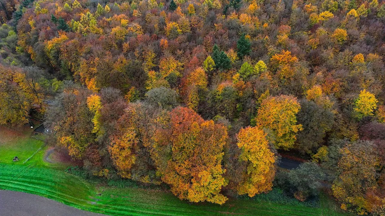 NRW: Nationalpark-Suche im Reichswald gescheitert