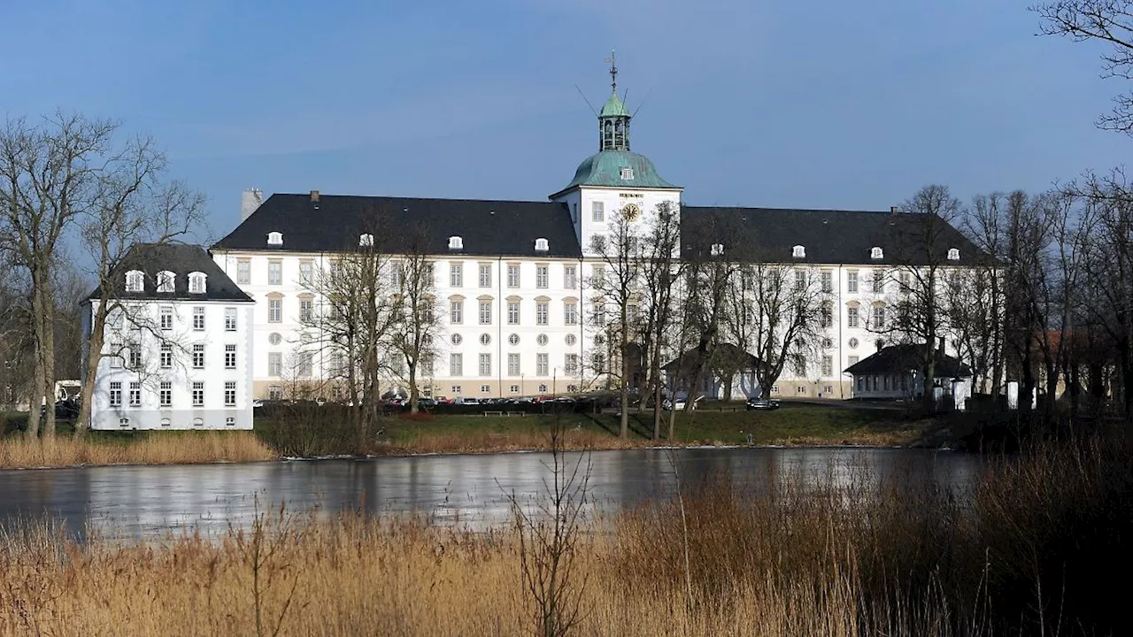 Schloss Gottorf wird zum Wikinger-Zentrum und startet Modernisierung