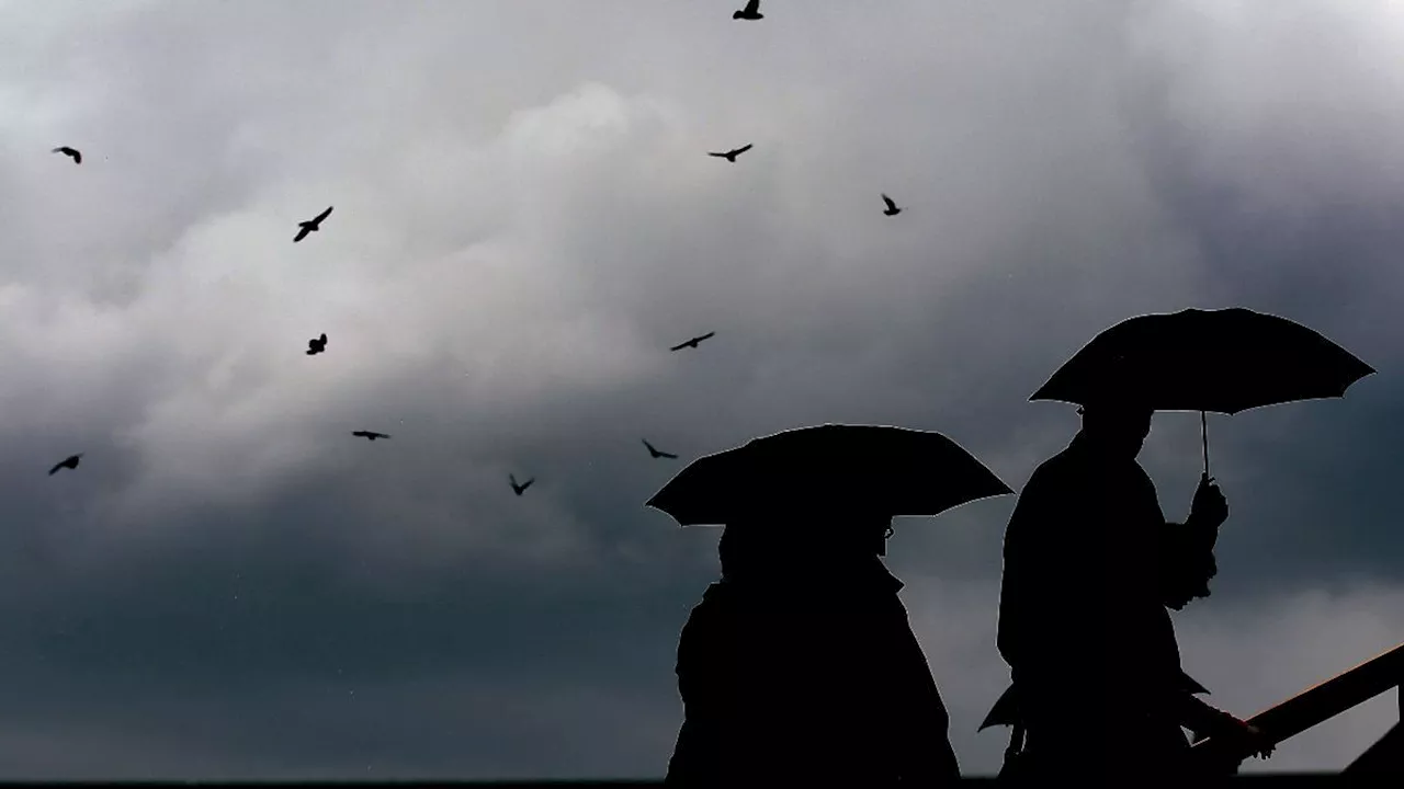 Unbeständiges Wetter mit Regen und Schnee in Rheinland-Pfalz und Saarland