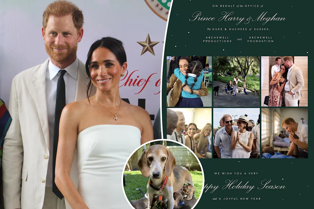 Prince Harry and Meghan Markle's 2024 holiday card includes a new family member — their rescue dog