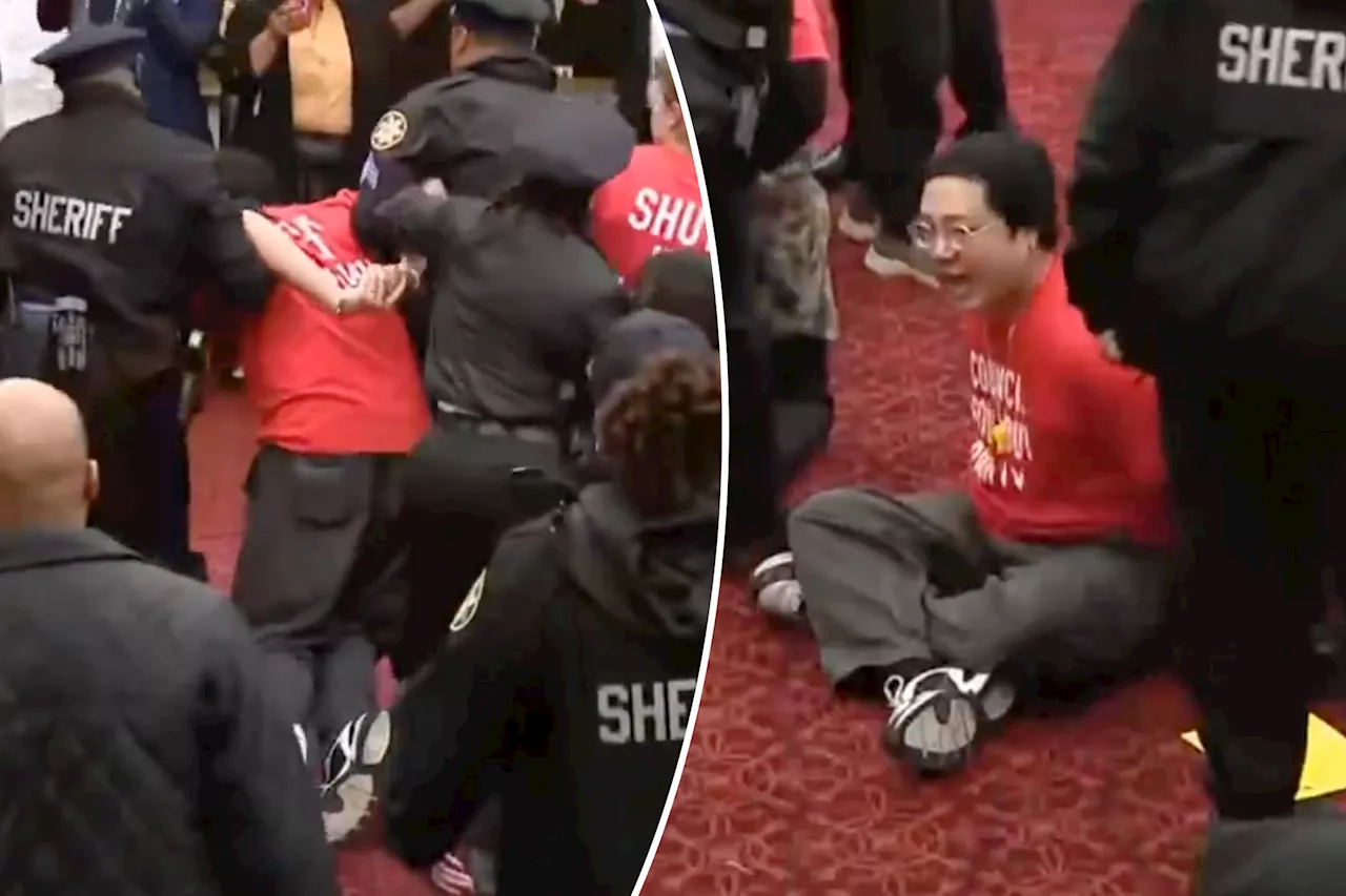 Protesters Arrested at Philly City Council Meeting Over 76ers Arena Approval