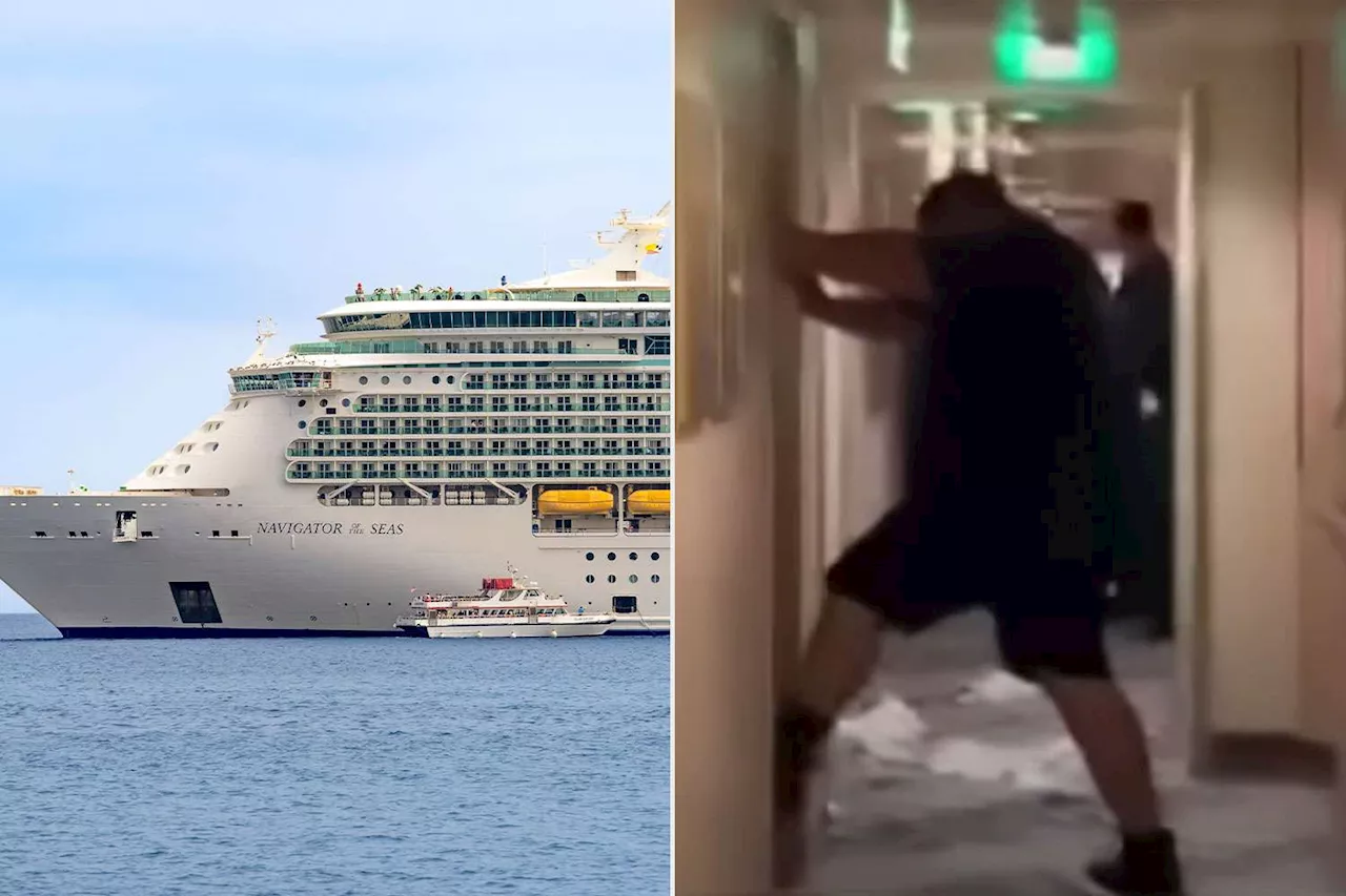 Cruise Ship Passenger Dies After Attacking Crew Members