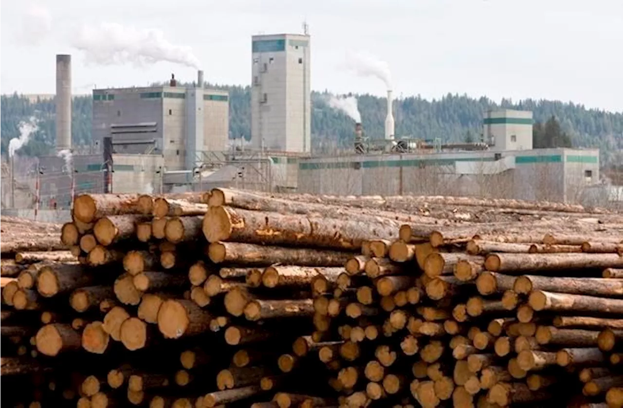 Arbitrator Orders Pulp Mill to Pay Worker $5,750 in Damages