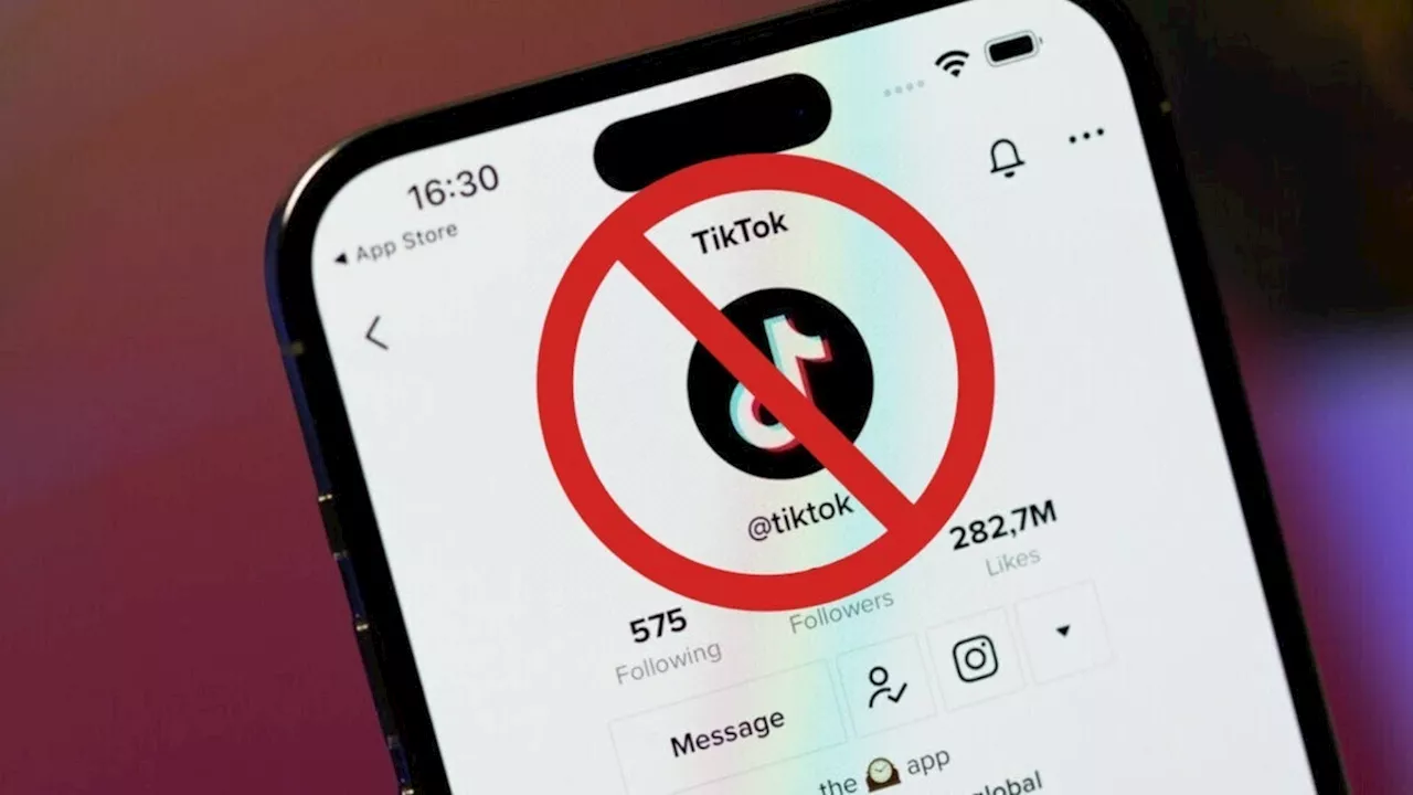 TikTok Challenges US Ban in Supreme Court