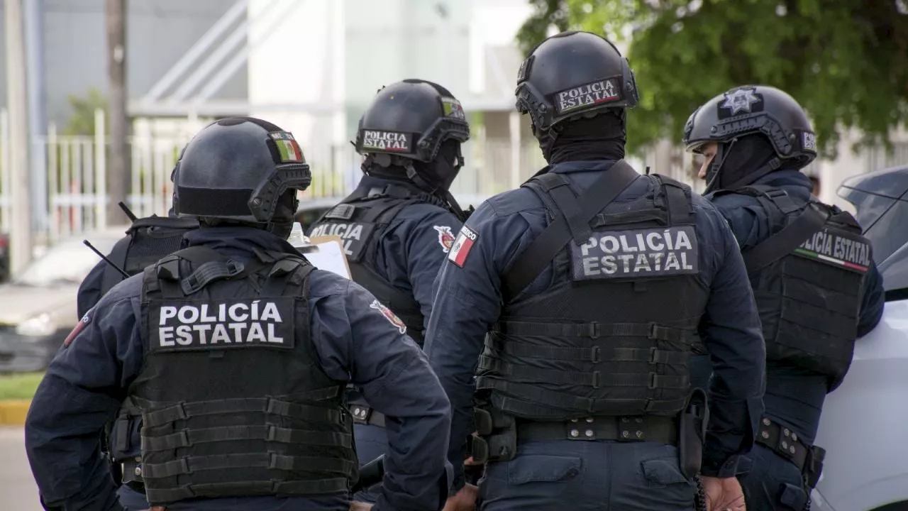 Hallan cuatro cuerpos sin vida en la sierra de Sinaloa