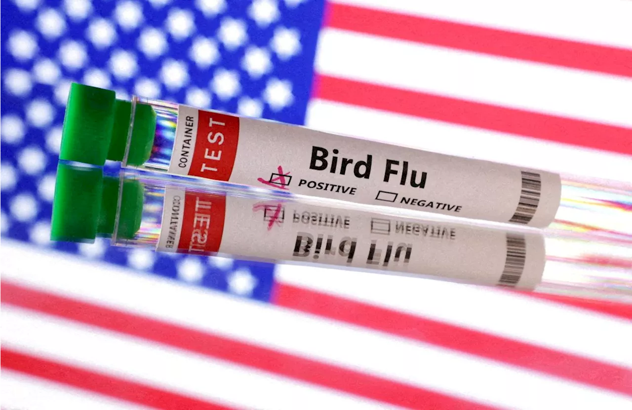 US Reports First Severe Bird Flu Case in Human