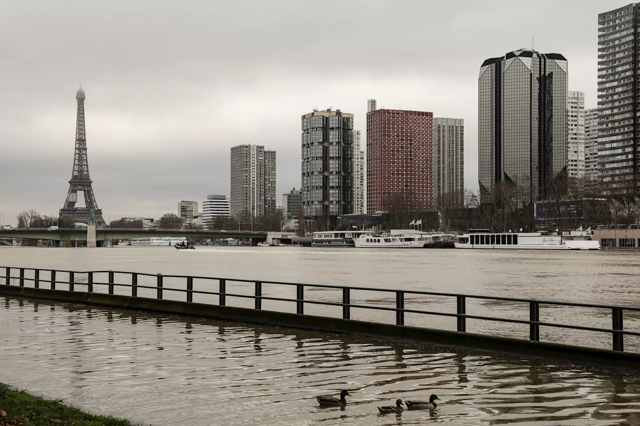 Paris, la capitale la plus grise du siècle