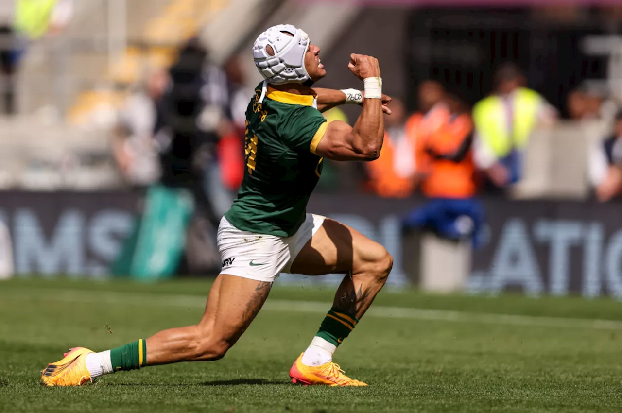 Springboks Begin 2024 with Dominant Win Against Wales