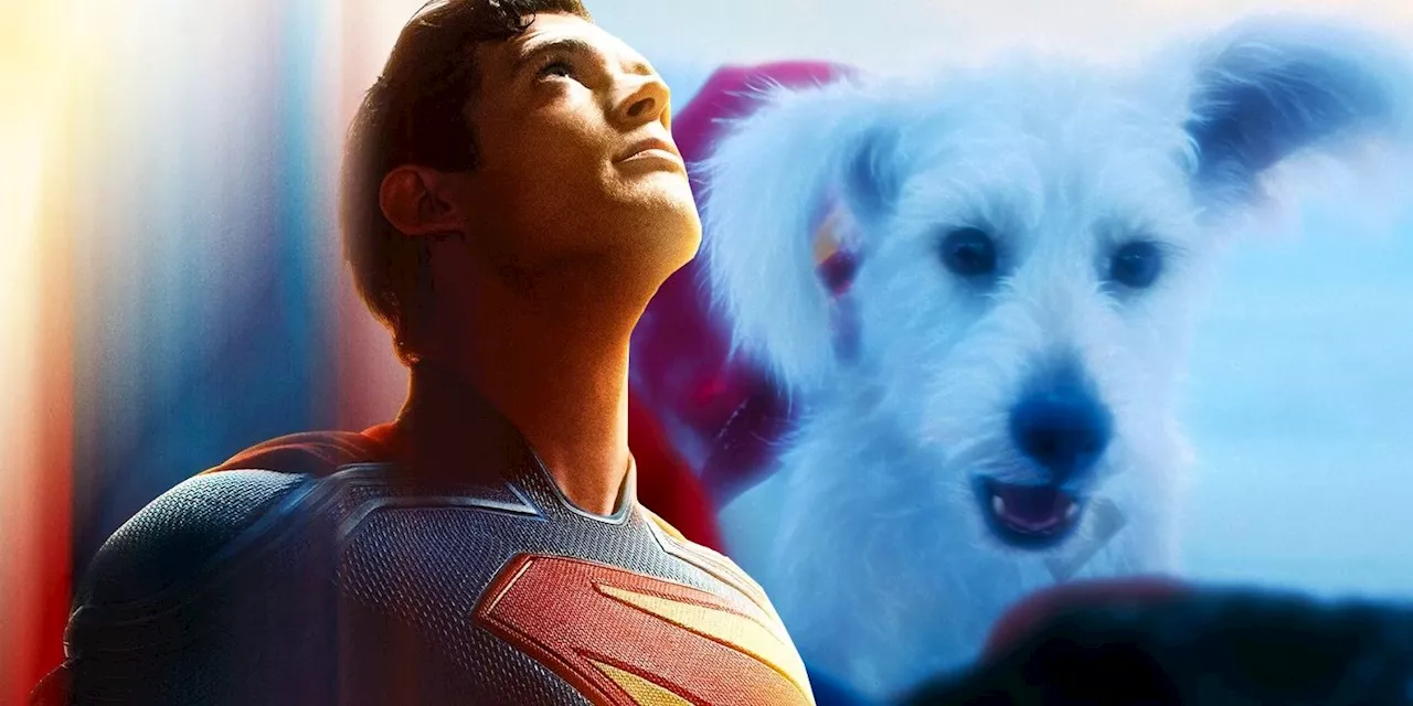 Krypto the Superdog: Powers and Abilities