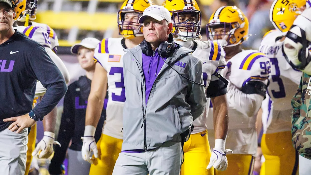 LSU Tigers Land Top Punter Transfer Grant Chadwick