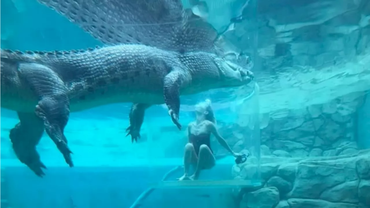 Lara Worthington Taunts Crocodile in Cage of Death