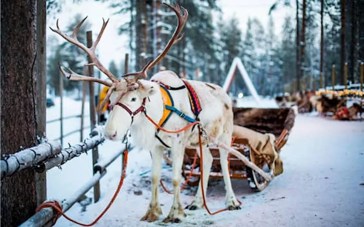 Rovaniemi: La Città della Lapponia che Sfrutta il Turismo