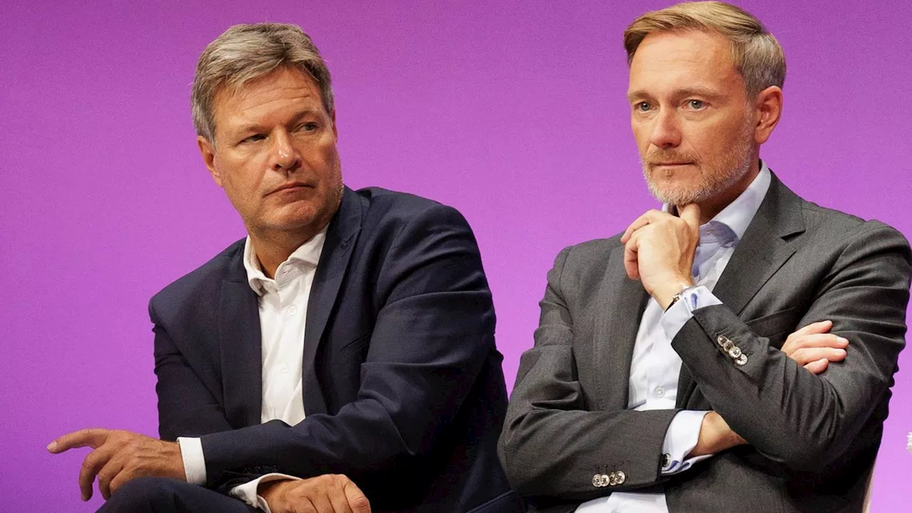 Habecks Freude über Kabinettsbeschluss sorgt für Zündstoff mit Lindner