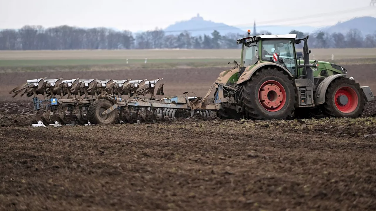 Millionen aus der EU-Agrarhilfe fließen an Thüringer Landwirte