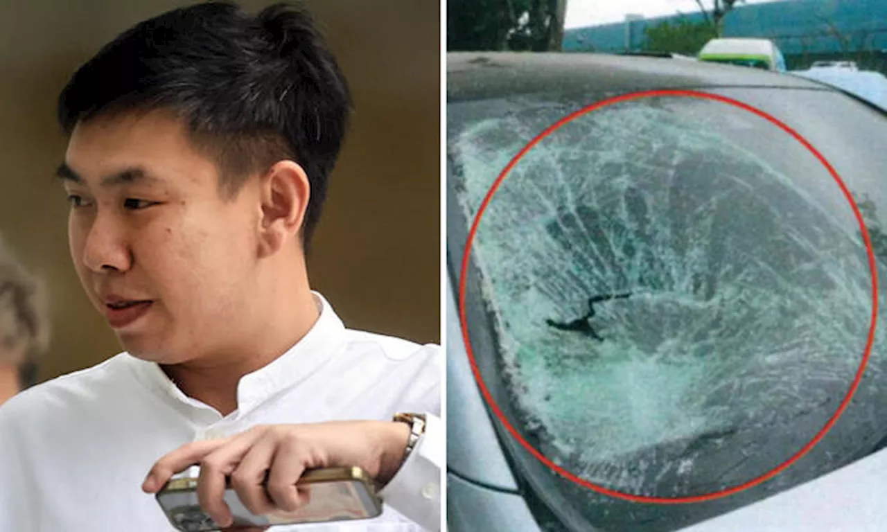 Director Fled Scene After Fatal Crash