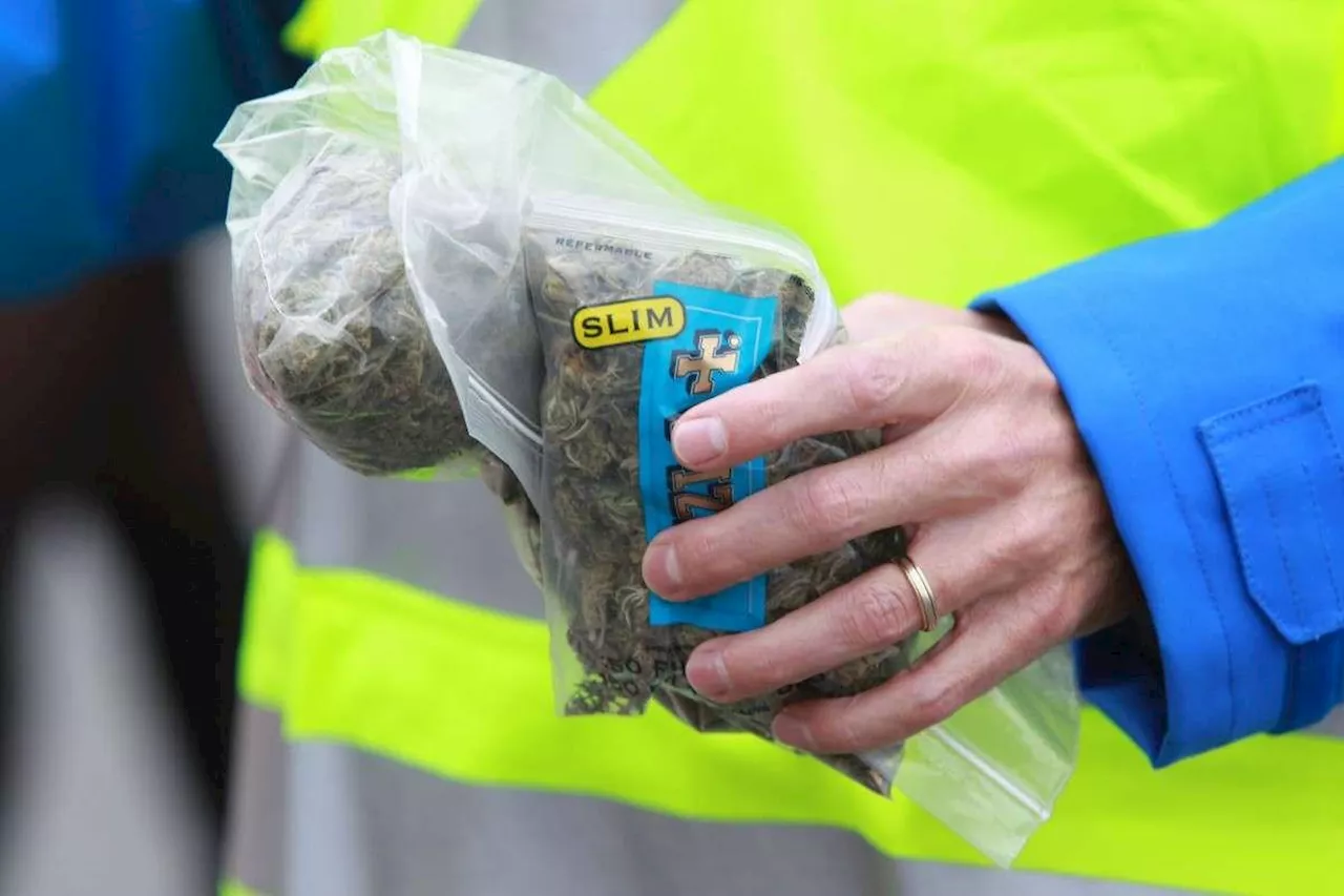 200 kilos de cannabis saisis et dix personnes interpellées lors d’une opération en Île-de-France