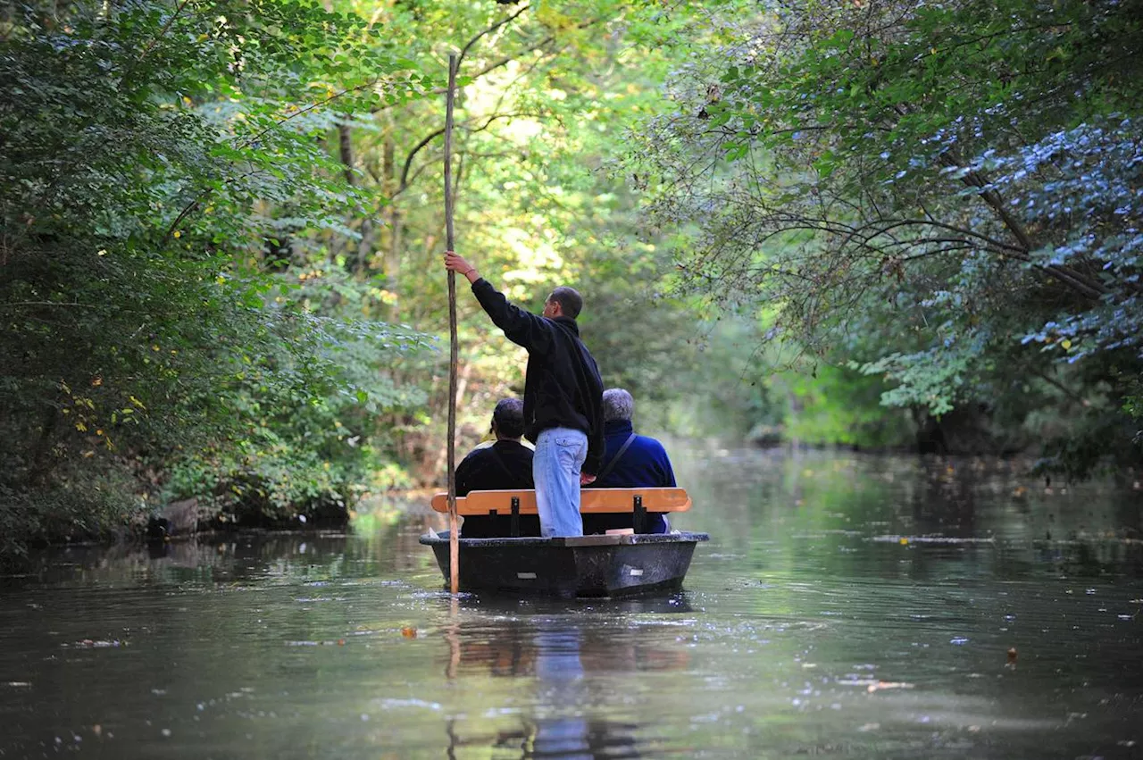 Le Marais Poitevin Résilient Face au Changement Climatiqu