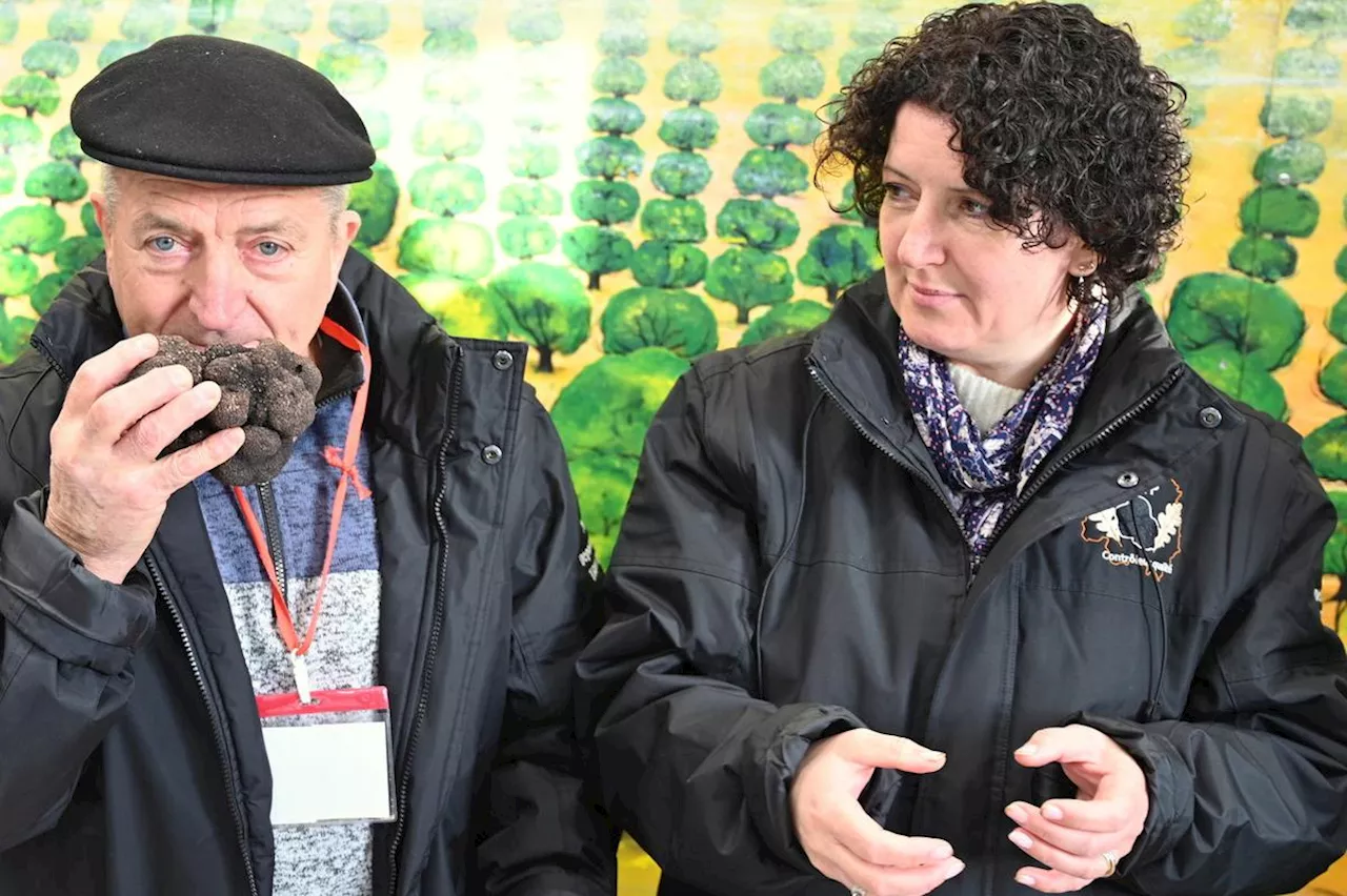 Sorges-et-Ligueux-en-Périgord : quel succès pour le quatrième marché aux truffes de la saison ?