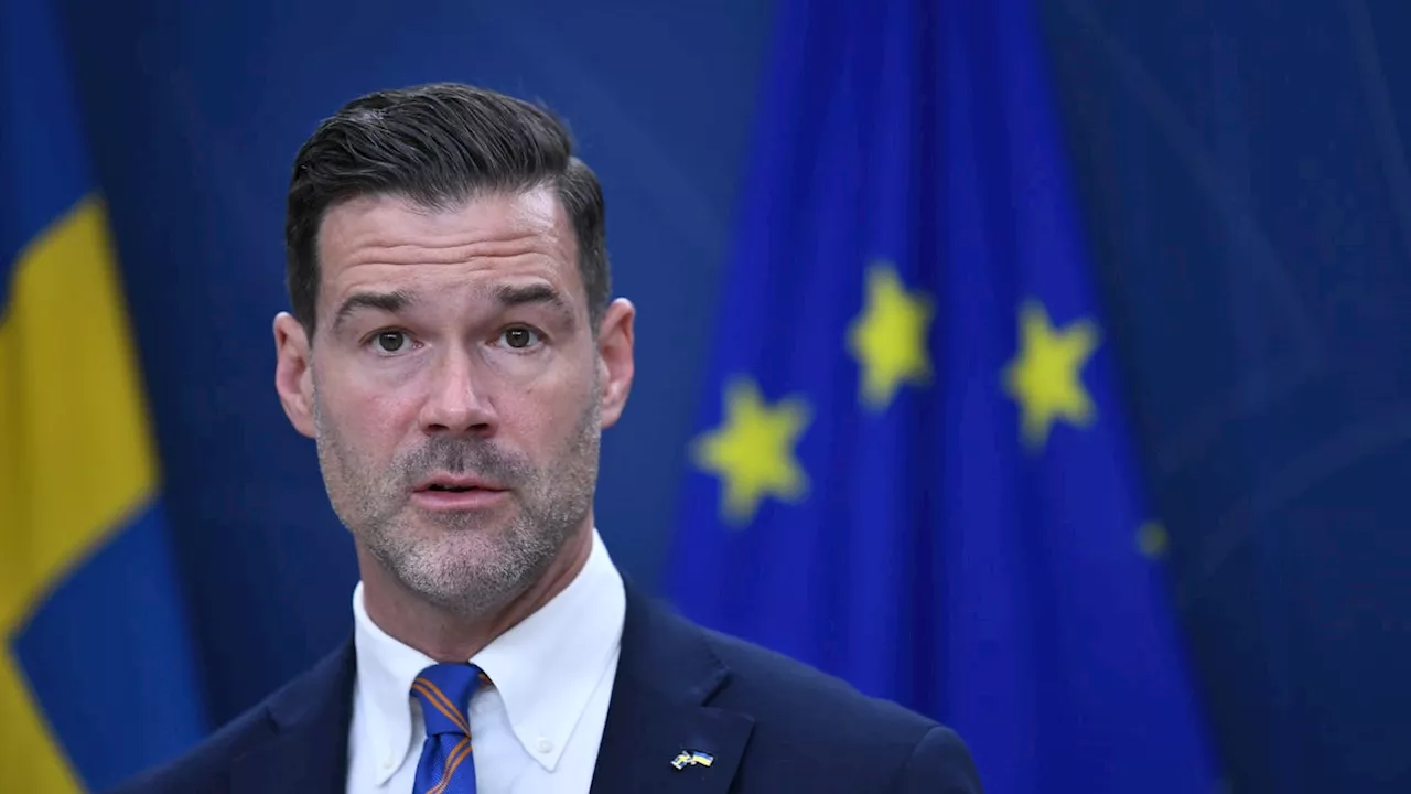 Migrationsverket ska kartlägga stöd för syrier som vill återvända